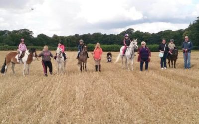 Willow Farm Riding School